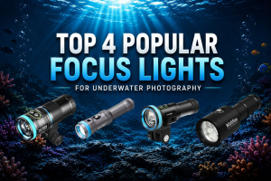 Top 4 Popular Focus Lights for Underwater Photography