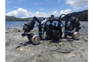 Weefine float blocks