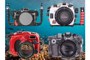 underwater housing brands comparison Nauticam Ikelite Isotta AOI