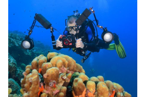 underwater camera housing used for underwater photography and video