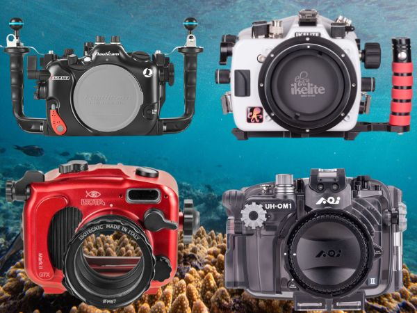 underwater housing brands comparison Nauticam Ikelite Isotta AOI