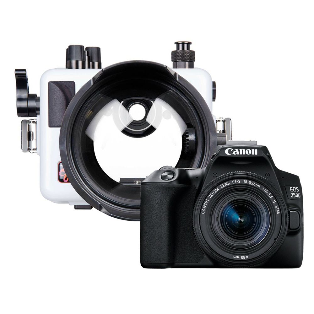 Rebel Sl2 Gimbal For Canon Sl2 Eos Rebel Sl2 Best Lens For Canon