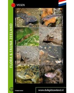 Reference Card Bonaire – Image 1