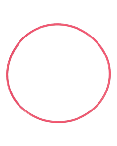 Olympus o-ring for PT-054 POL-054-2 – Image 1