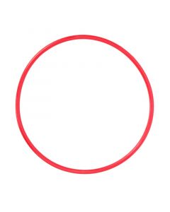 Olympus o-ring for PT-031 POL-031 – Image 1
