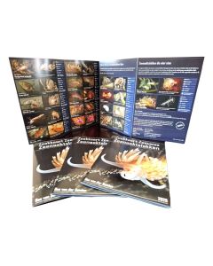 Reference Card Dutch Sea Slugs 2025 (Dutch)