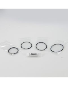 Fisheye o-ring set for Fisheye LED1000DX – Image 1