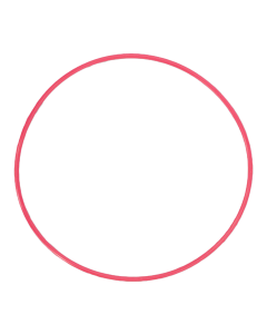 Olympus o-ring for PT-054 POL-054-2 – Image 1