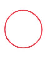 Olympus o-ring for PT-019 POL-019 – Image 1