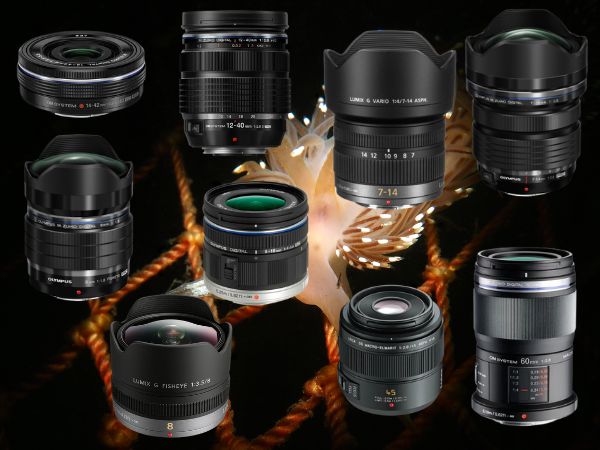 Underwater photography lenses for Micro Four-Thirds cameras, showcasing wide-angle, mid-range, and macro options for capturing marine life, reefs, and detailed underwater shots.