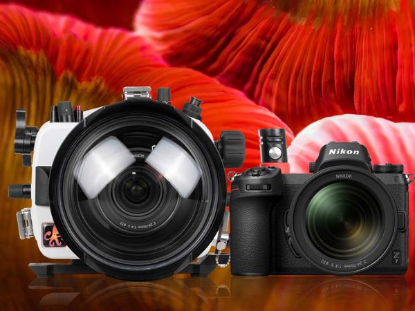 Best Nikon Lenses for Underwater Photography - A Guide for F and Z-Series Cameras