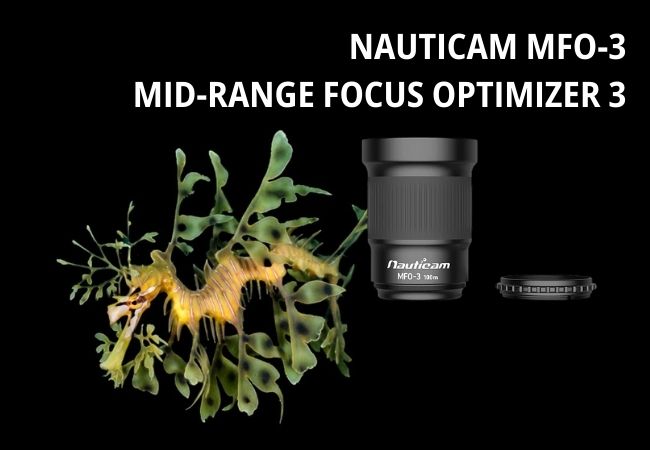 Underwater macro photography setup with Nauticam MFO-3 lens