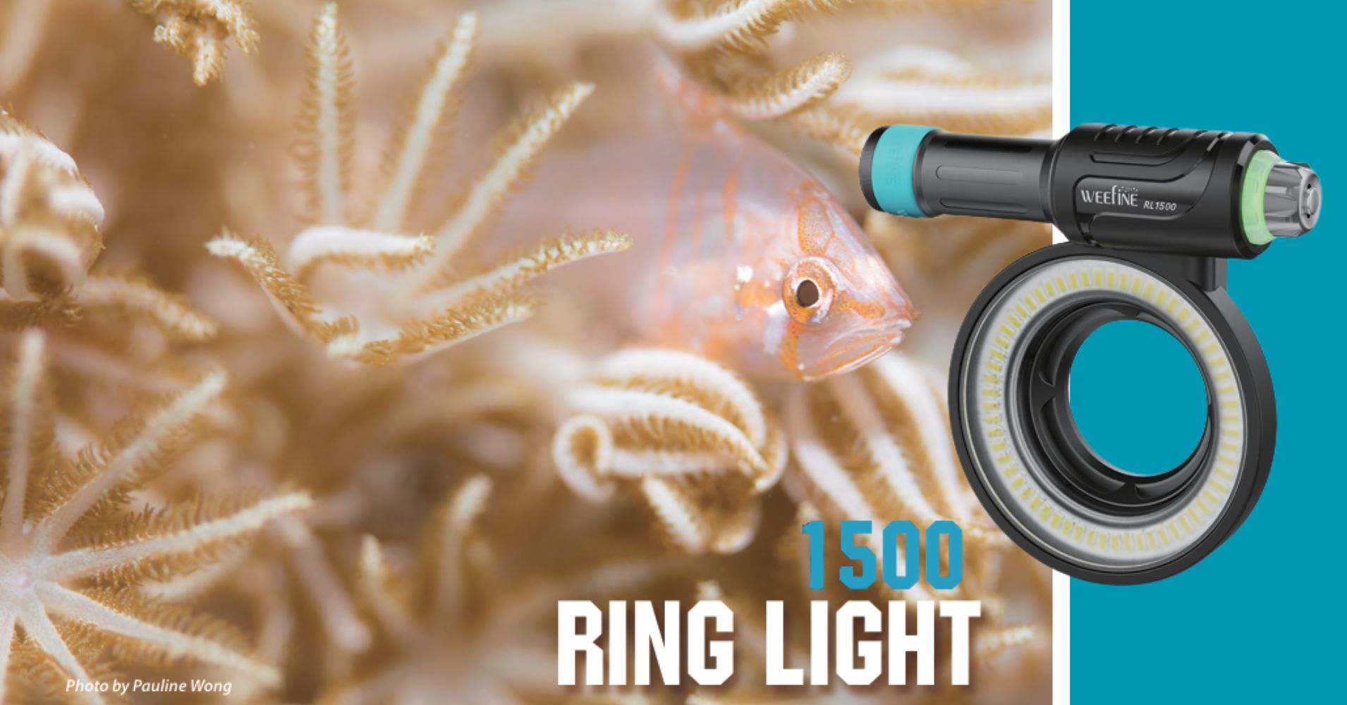 Why Weefine Ring Light 1500 is top choice for OM SYSTEM Why Weefine Ring Light 1500 is top choice for OM SYSTEM