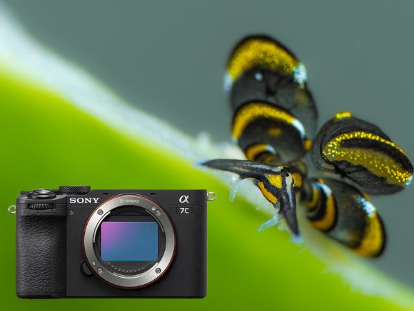 Compacte Sony A7C II full-frame systeemcamera met onderwaterbehuizing, geschikt voor onderwaterfotografie