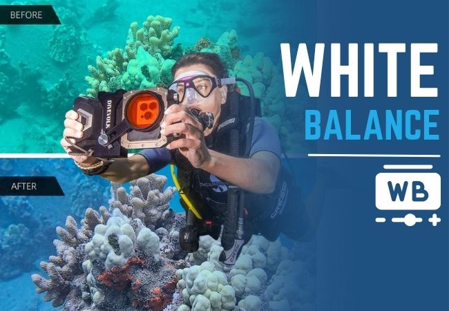Underwater diver taking a photo of colorful coral reef with natural lighting