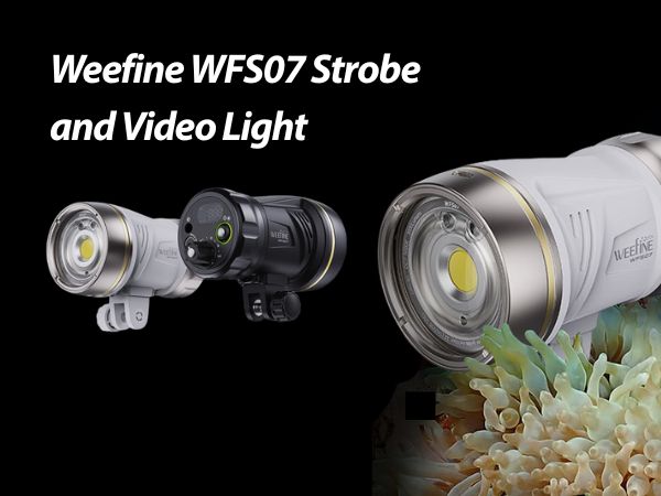 Weefine WFS07 hybrid underwater strobe and video light, offering compact power for both macro and wide-angle shots.