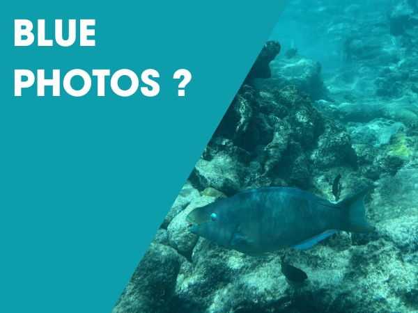 Blue-underwater-photos