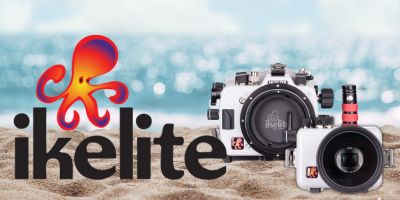 Ikelite strobes for Ikelite housings