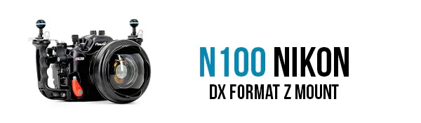 N100 Nikon DX format Z mount