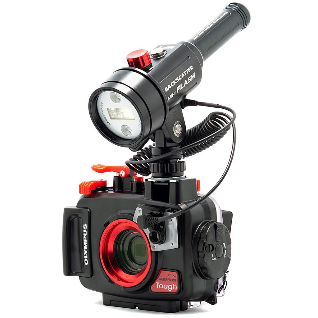 Backscatter mini Flash
