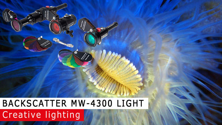 Backscatter MW-4300 lamp Backscatter MW-4300 lamp