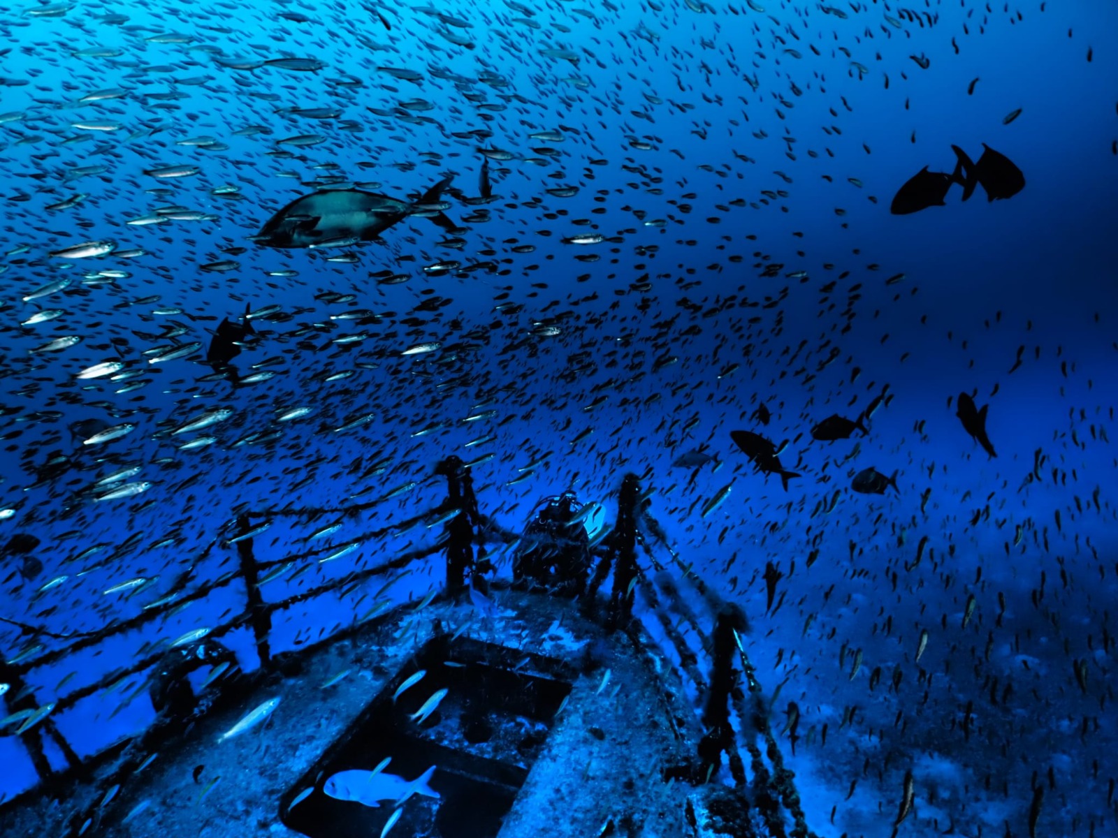 World Championship Underwater Photography - Creative - Marco Heesbeen