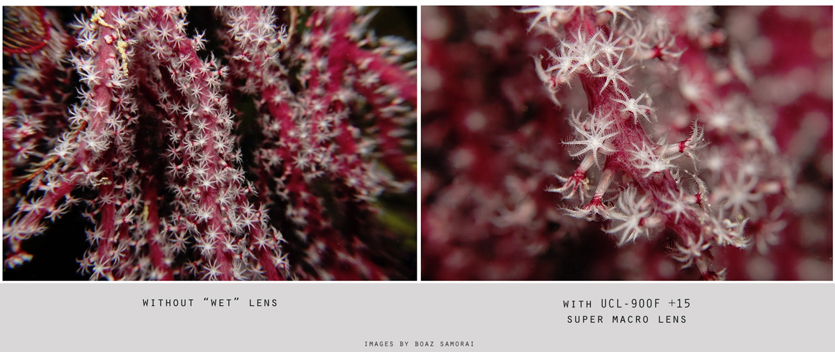 Comparison without or with super macro lens