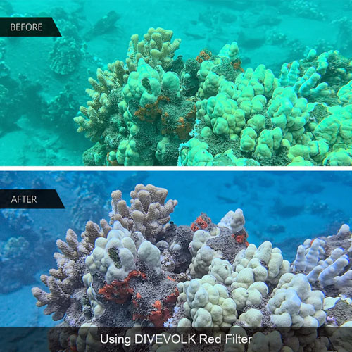 Why use a red filter underwater
