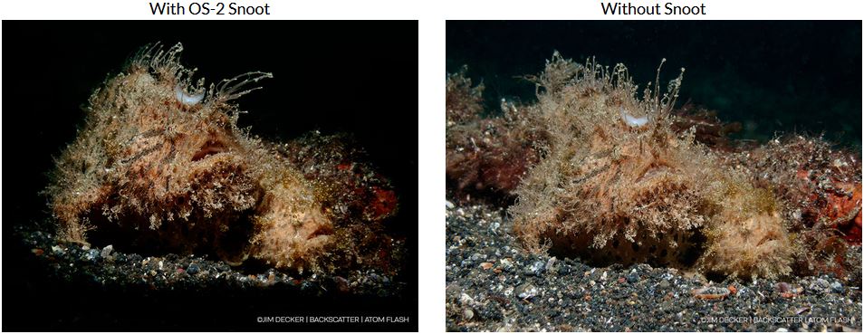 Example working with a snoot on your strobe