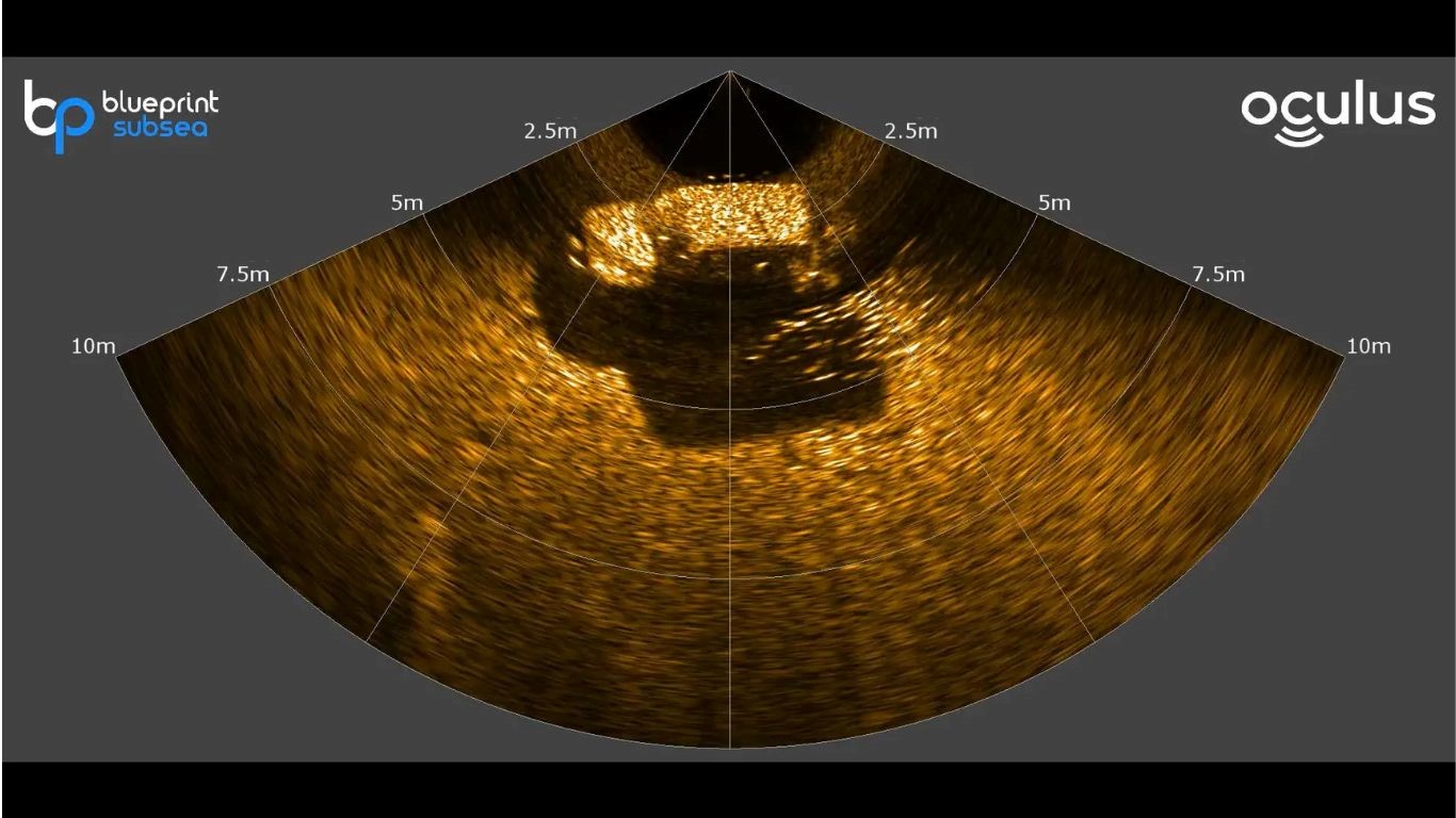 Sonar image of car including school of fish with Oculus M750D