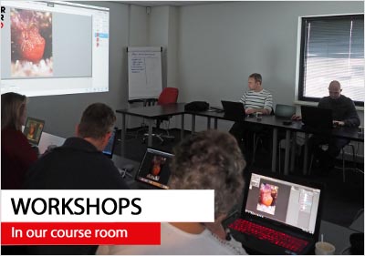 Workshops and private courses